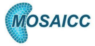 MOSAICC