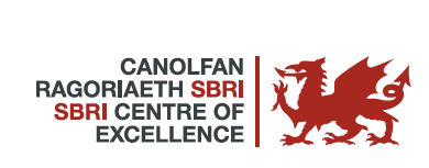 canolfan centre of excellence logo