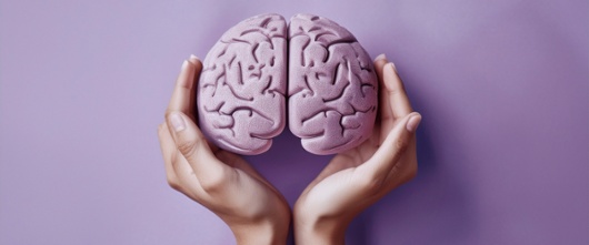hands holding brain