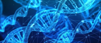 DNA strands