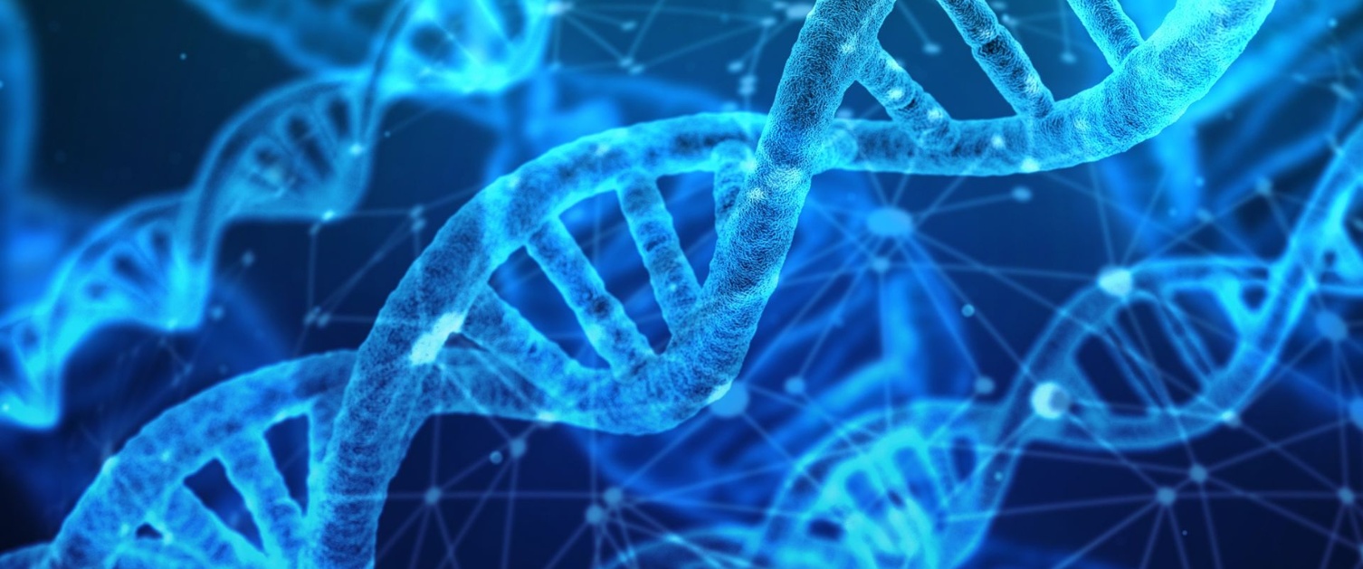 DNA strands