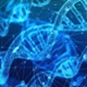 DNA strands