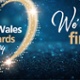 The NHS Wales Awards 2024 We