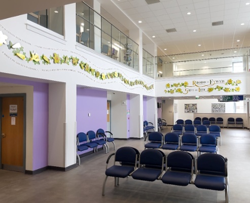 Organ Donation Artwork