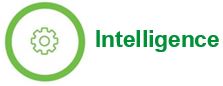 Intelligence Icon