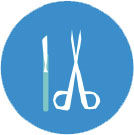 Scissors and scalpel