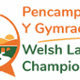 Welsh Language Champions Banner