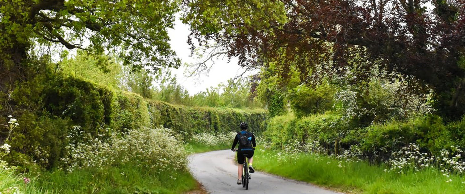 man riding bike down a country lane