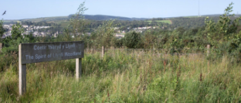 Llynfi Valley