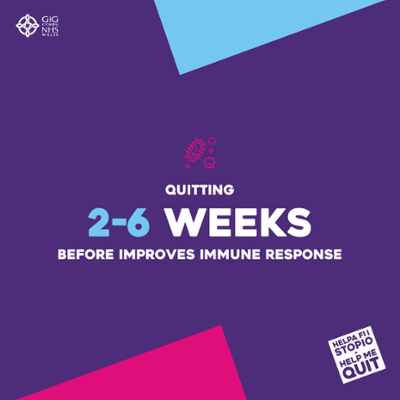 Qutting 2-6 Weeks Before Improves Immune Response