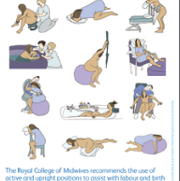 positions in labour.PNG