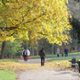 Park