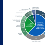 Green CTM pie chart.png