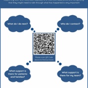 Staff Guidelines for Bereavement Support and the Critical Incident Stress Pathway