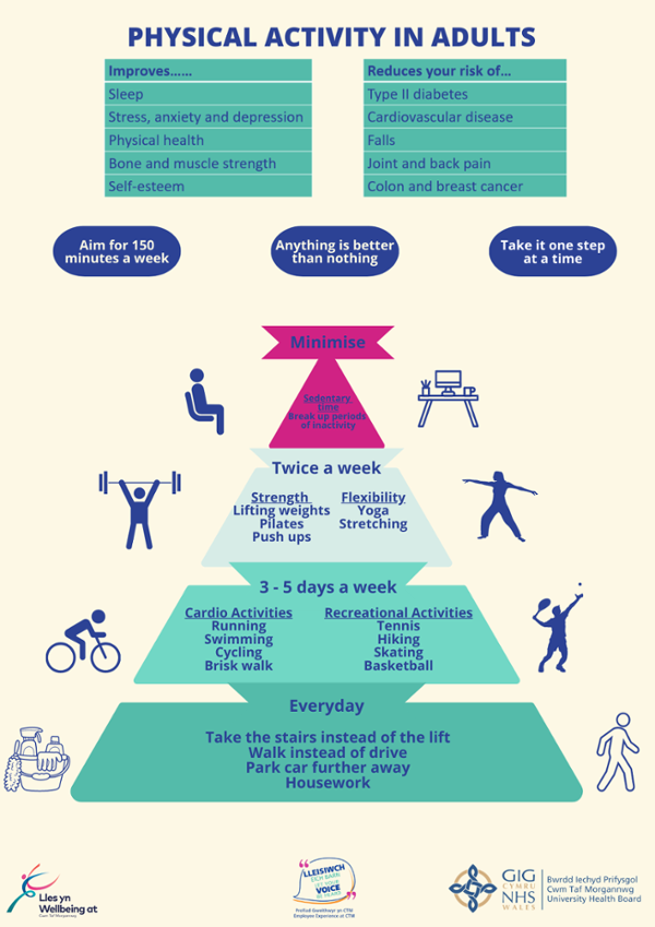 Physical Activity in Adults Poster