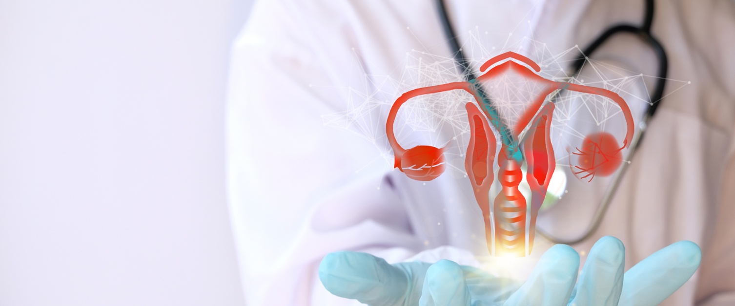 Doctor holding urogynaecology icon in hand