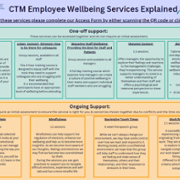 Wellbeing Services Explained Poster