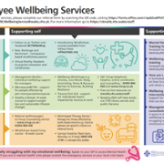 CTM UHB Wellbeing Care Pathway