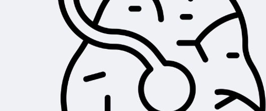 sketch of a placenta