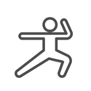 Mixed Martial Arts Icon