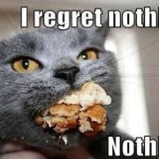 Cat meme