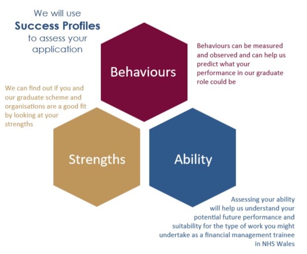 graphic showing success profiles - behaviours, strengths ad ability