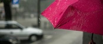 Red umbrella in the rain