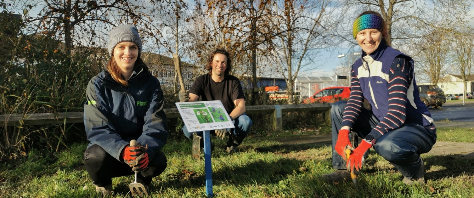 Project Members laying yellow rattle and wildflower seeds in preparation of the mini-meadows which are being created at Withybush Hospital