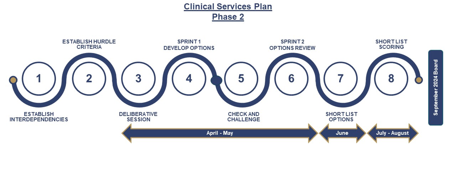 A graphic shows an 8-step process that includes establishing interdependencies, establishing hurdle criteria, holding deliberative sessions and developing options. The options are then checked and challenged before they are reviewed and shortlisted.