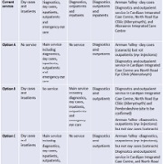 Table 5 Consultation options – ophthalmology ENG.jpg