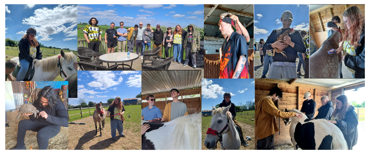 Group of young people enjoying a day out at a farm. Grooming and riding horses, holding chickens, ferrets and a tortoise.