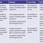 Table 3 Consultation options – emergency general surgery ENG.jpg
