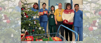 Group of nurses and volunteers standing next to Christmas tree with boxes of mince pies