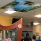 Person playing harp on a hospital ward