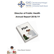 Annual report easy read version