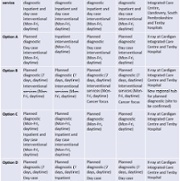 Table 7 Consultation options – radiology ENG.jpg