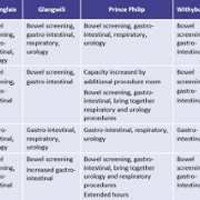 Table 4 Consultation options – endoscopy ENG.jpg