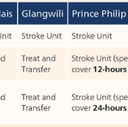 Table for Stroke Services&nbsp;