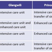 Table 1 Consultation options – critical care ENG.jpg