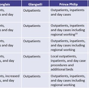 Table 6 Consultation options – orthopaedic services ENG.jpg