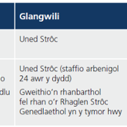 Yr opsiwn a ffefrir