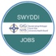 Swyddi Jobs 200x200