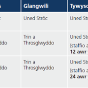 Yr opsiynau strôc y gwnaethom ymgynghori arnynt