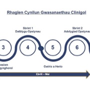 CSP Phase two process diagram CYM