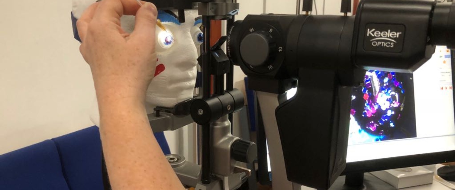 Optometry training dummy