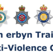 NHS Anti-Violence logo.png