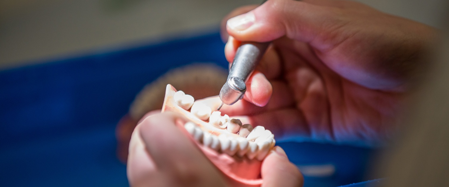 Dental trainee working on teeth
