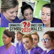 Once for Wales banner image