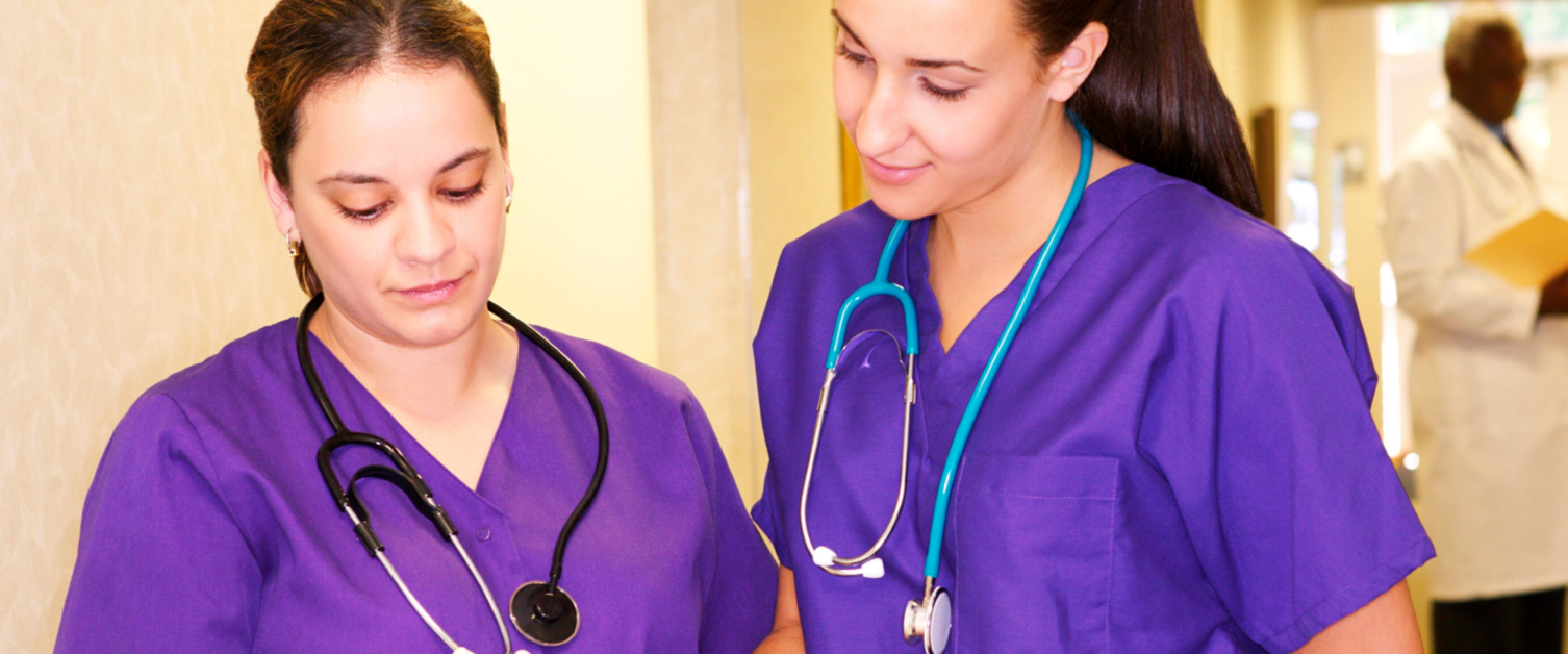 Two nurses consulting a register