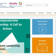 Gwella front page